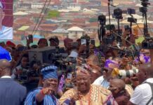 Birthday: You’re a true bridge builder – Alli celebrates Folarin