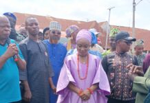 Alaafin Emphasizes Importance of Tree PlantingÂ