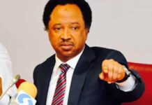 USA Genocide Claim: Human Rights Only Matter to Trump When It Suits American Interests – Sheu Sani Alleges