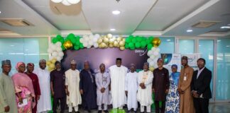Galaxy Backbone is a critical national asset – Oladeji-led ICT and cyber security committee