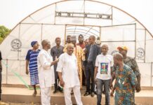 Oyo South Senator, Alli Inaugurates Solar Dryers for Ibarapa Farmers
