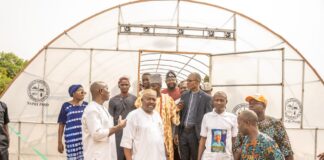 Oyo South Senator, Alli Inaugurates Solar Dryers for Ibarapa Farmers