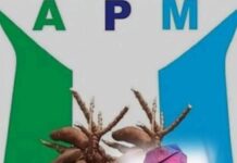2027: Only a Handful of Makinde’s Self-Acclaimed Loyalists Will Survive the Political Shift in Oyo | Peter Ayoade