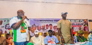 PDP/APM Alliance Has Gained Political Widespread Acceptance to Promote Oyo State’s Prosperity Status – APM Oyo South Candidate, ‘Odidiomo’