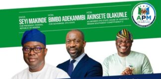 2027: A Vision for Greater Oyo Through Makinde–Adekanmbi–Akinsete Partnership