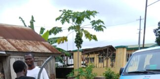 Oyo South APM Senatorial Candidate, ‘Odidiomo’ Donates 1,000 Streetlights Across Ibarapa Zone